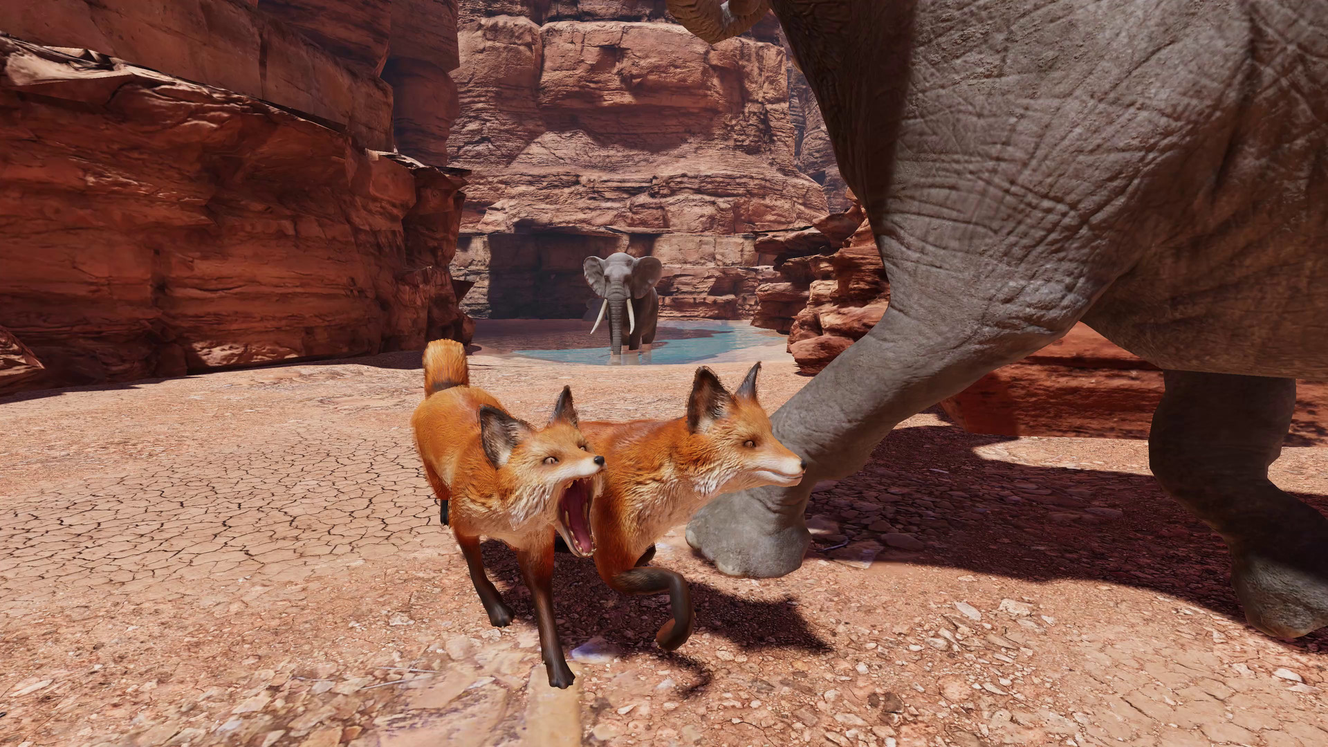 Food Chain screenshot 6