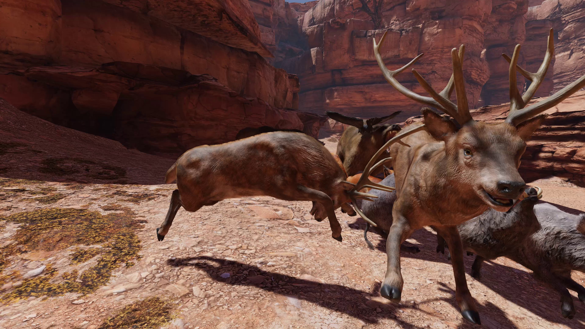Food Chain screenshot 8