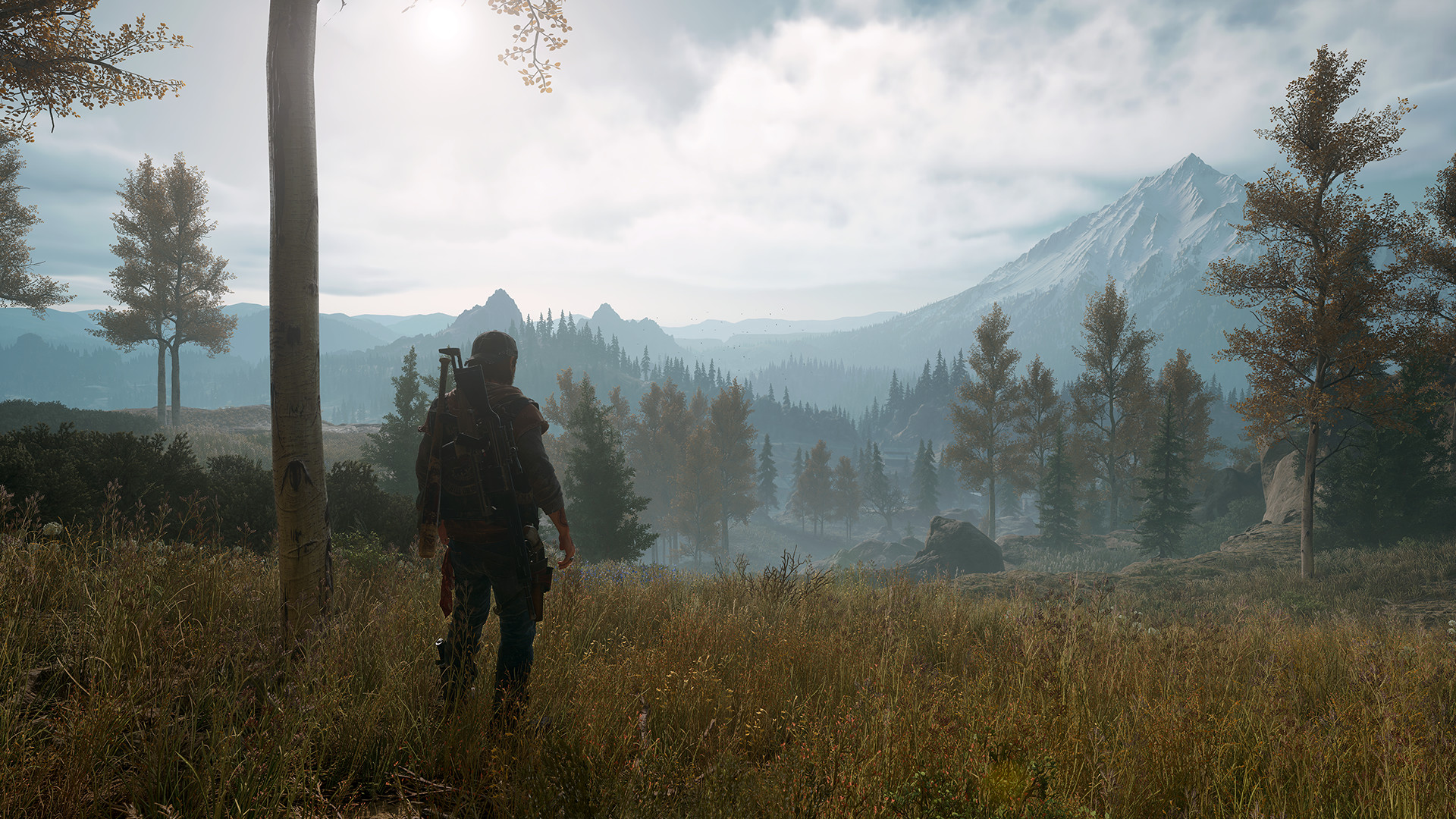 Days Gone screenshot 6