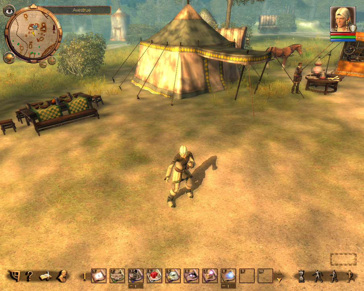 Drakensang screenshot 4