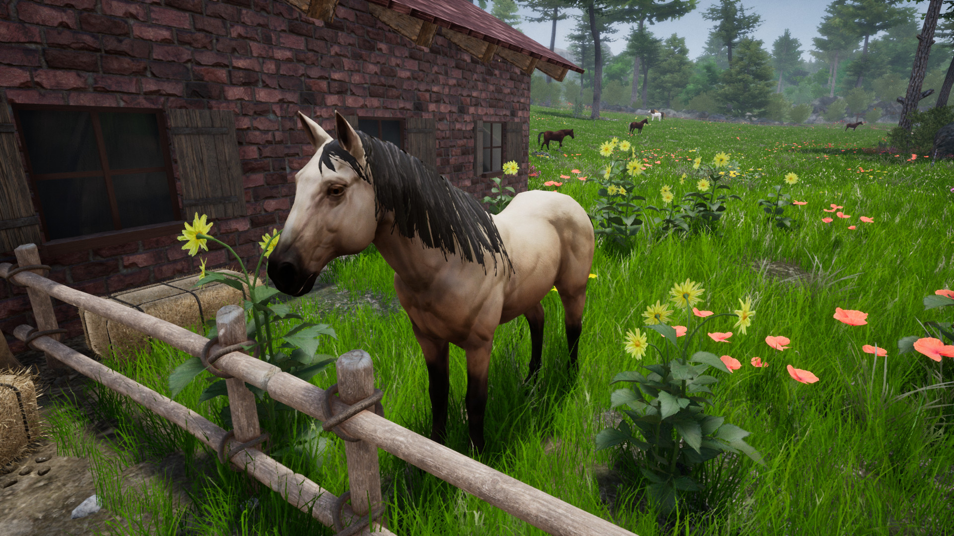 Horse Riding Deluxe 2 screenshot 19