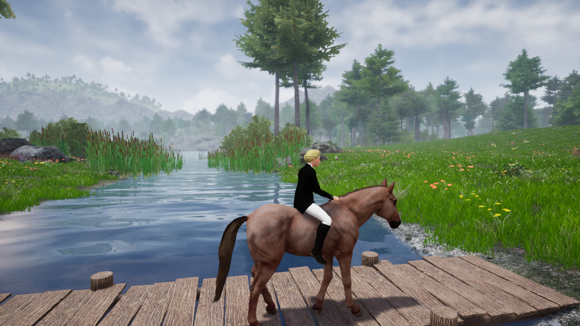 Horse Riding Deluxe 2 screenshot 16