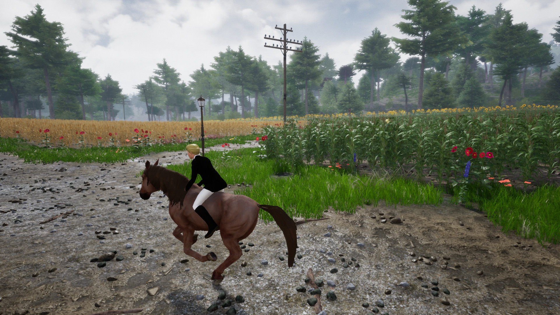 Horse Riding Deluxe 2 screenshot 14