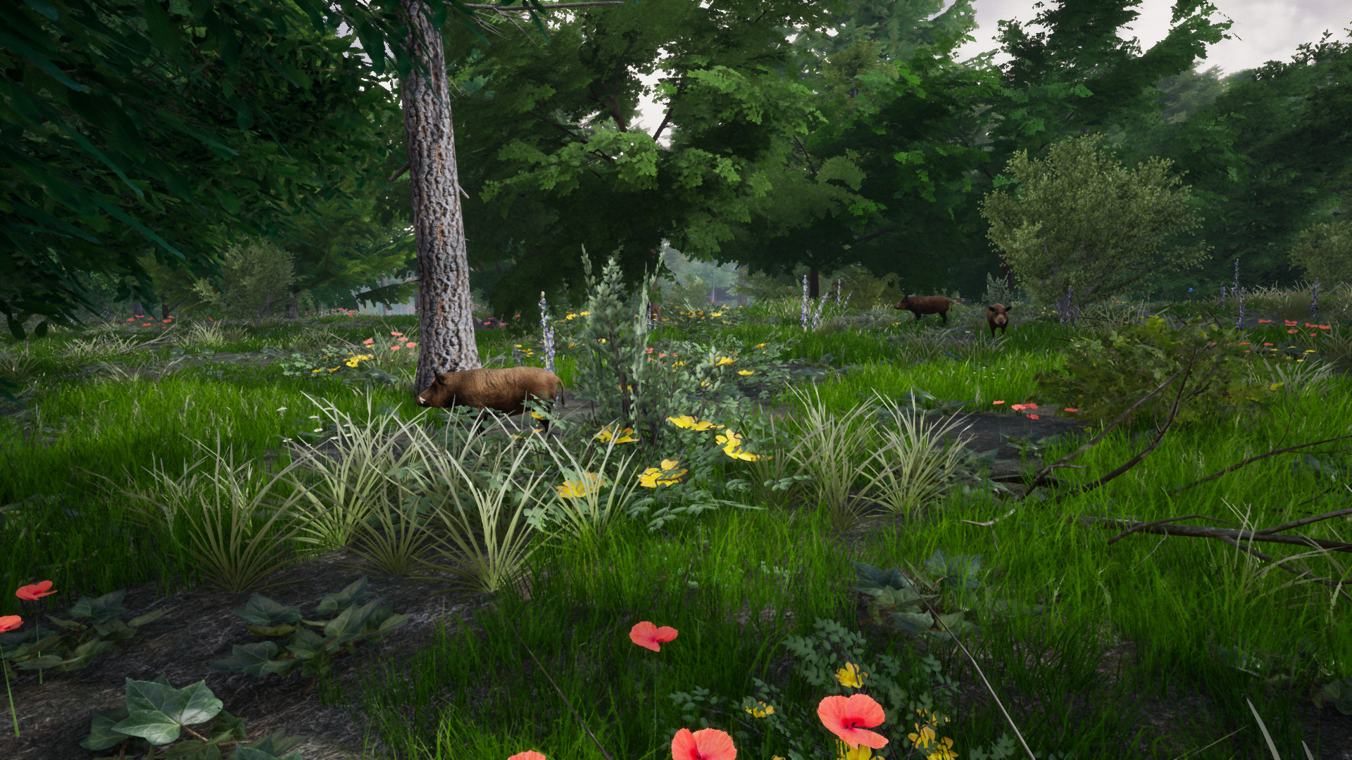 Horse Riding Deluxe 2 screenshot 15