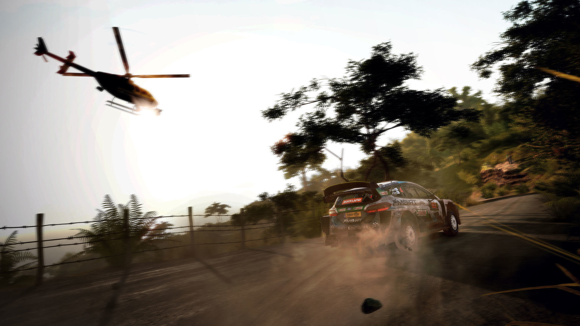 WRC 9 FIA World Rally Championship screenshot 2