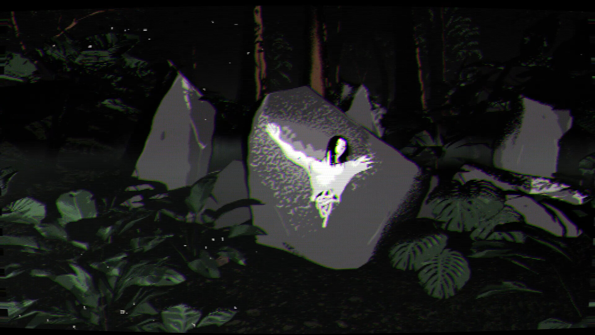Borneo: A Jungle Nightmare screenshot 3