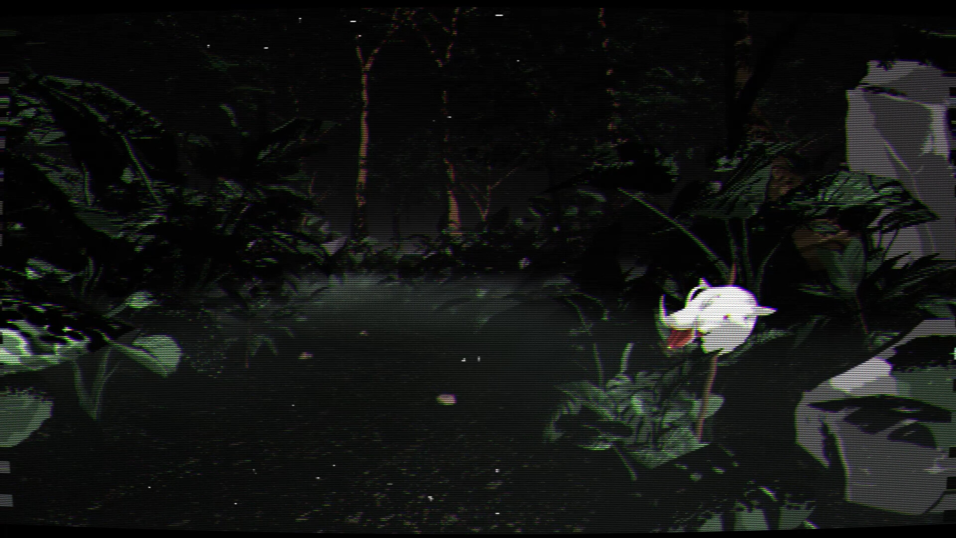 Borneo: A Jungle Nightmare screenshot 6