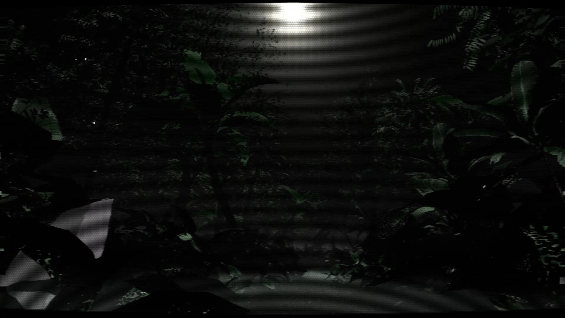 Borneo: A Jungle Nightmare screenshot 8