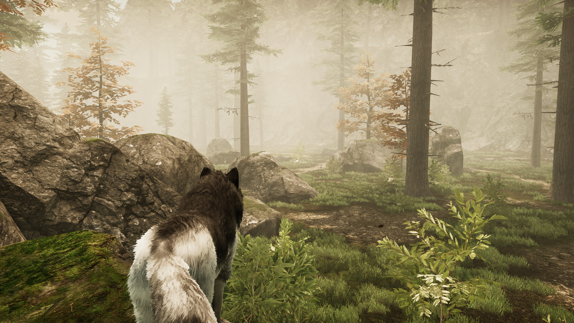 Tale Of A Wolf screenshot 8
