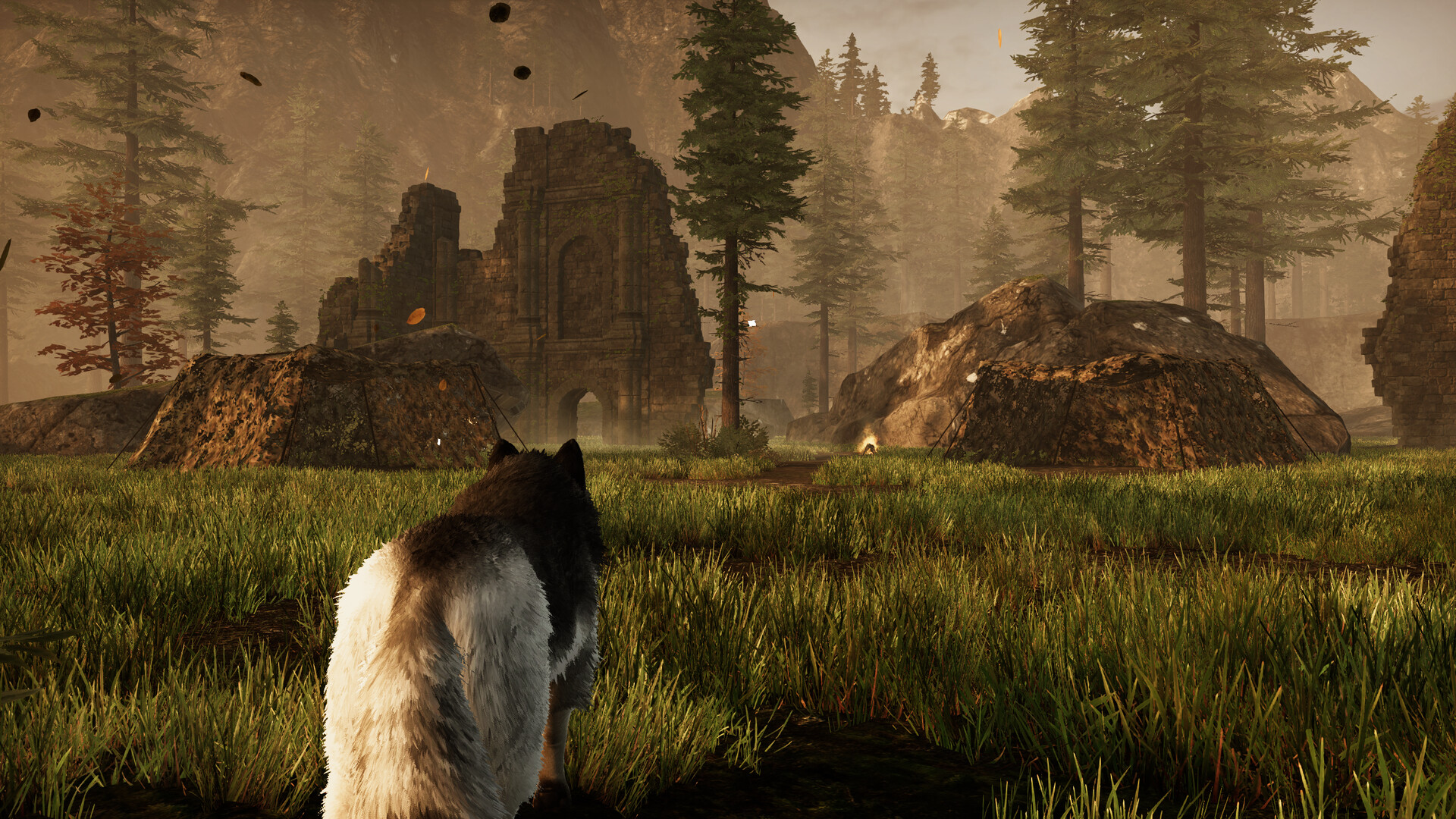 Tale Of A Wolf screenshot 2