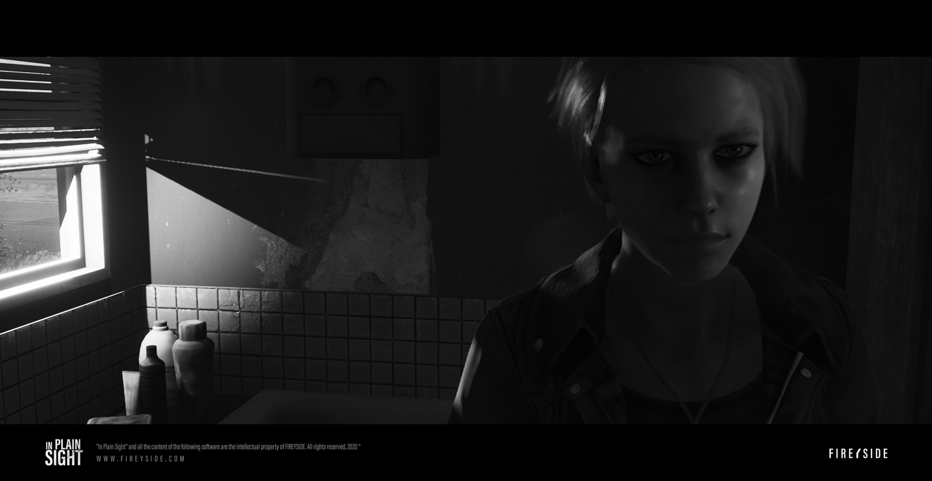 In Plain Sight screenshot 4