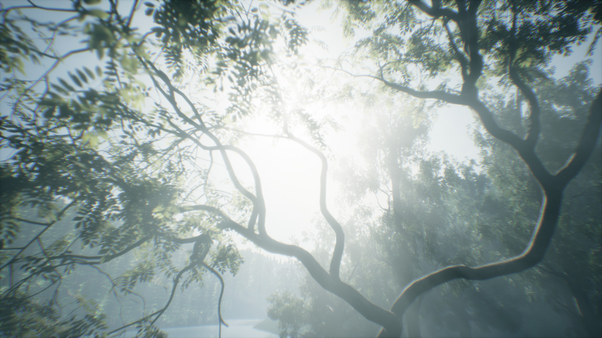 Wakamarina Valley, New Zealand screenshot 9