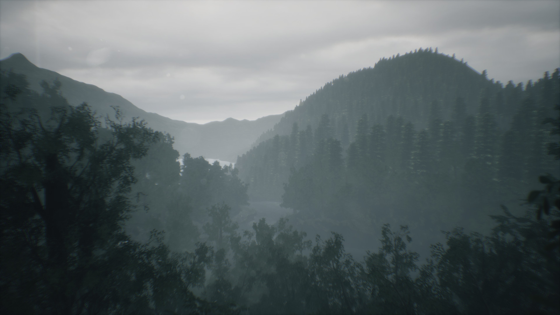 Wakamarina Valley, New Zealand screenshot 8
