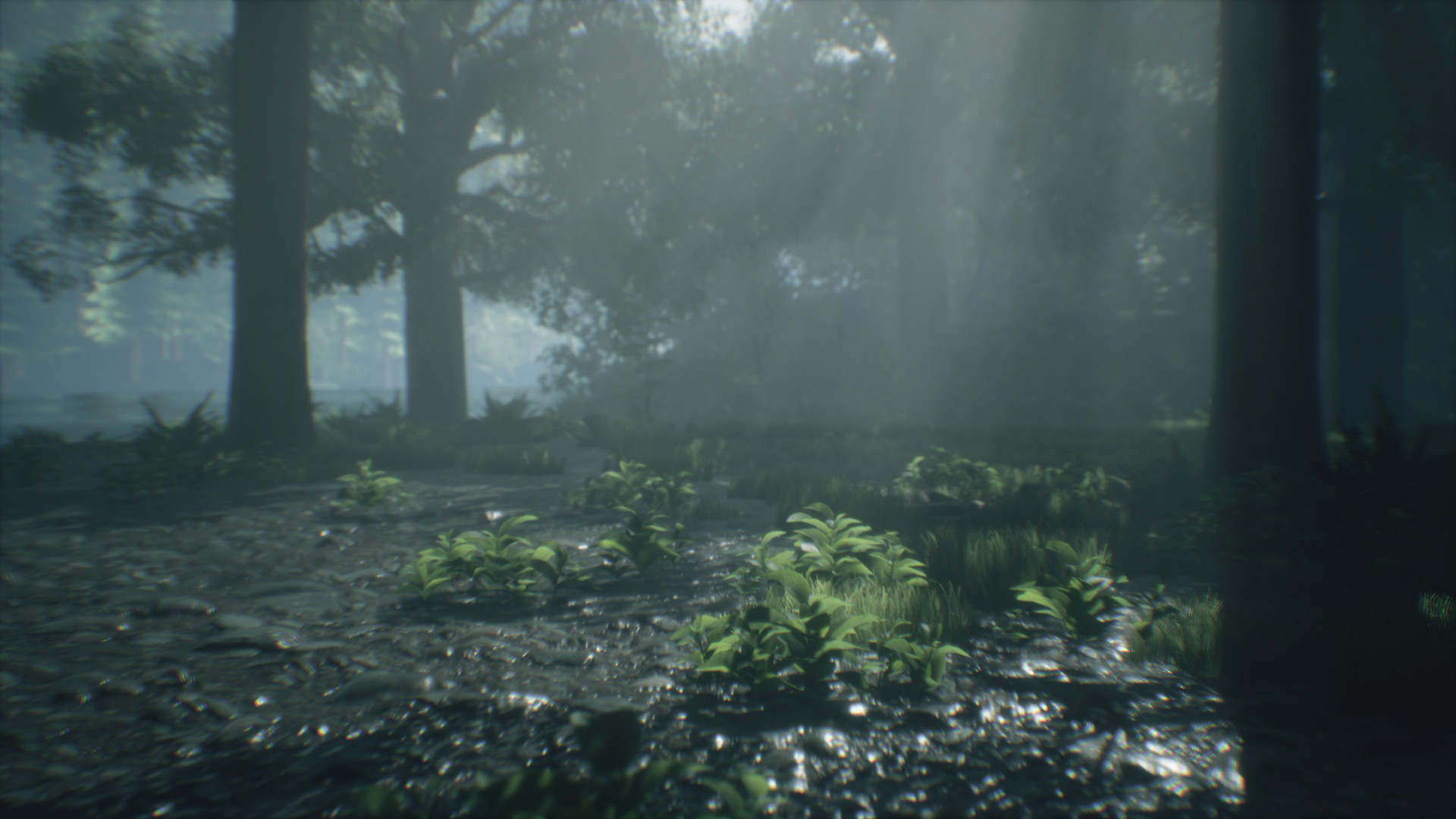 Wakamarina Valley, New Zealand screenshot 3