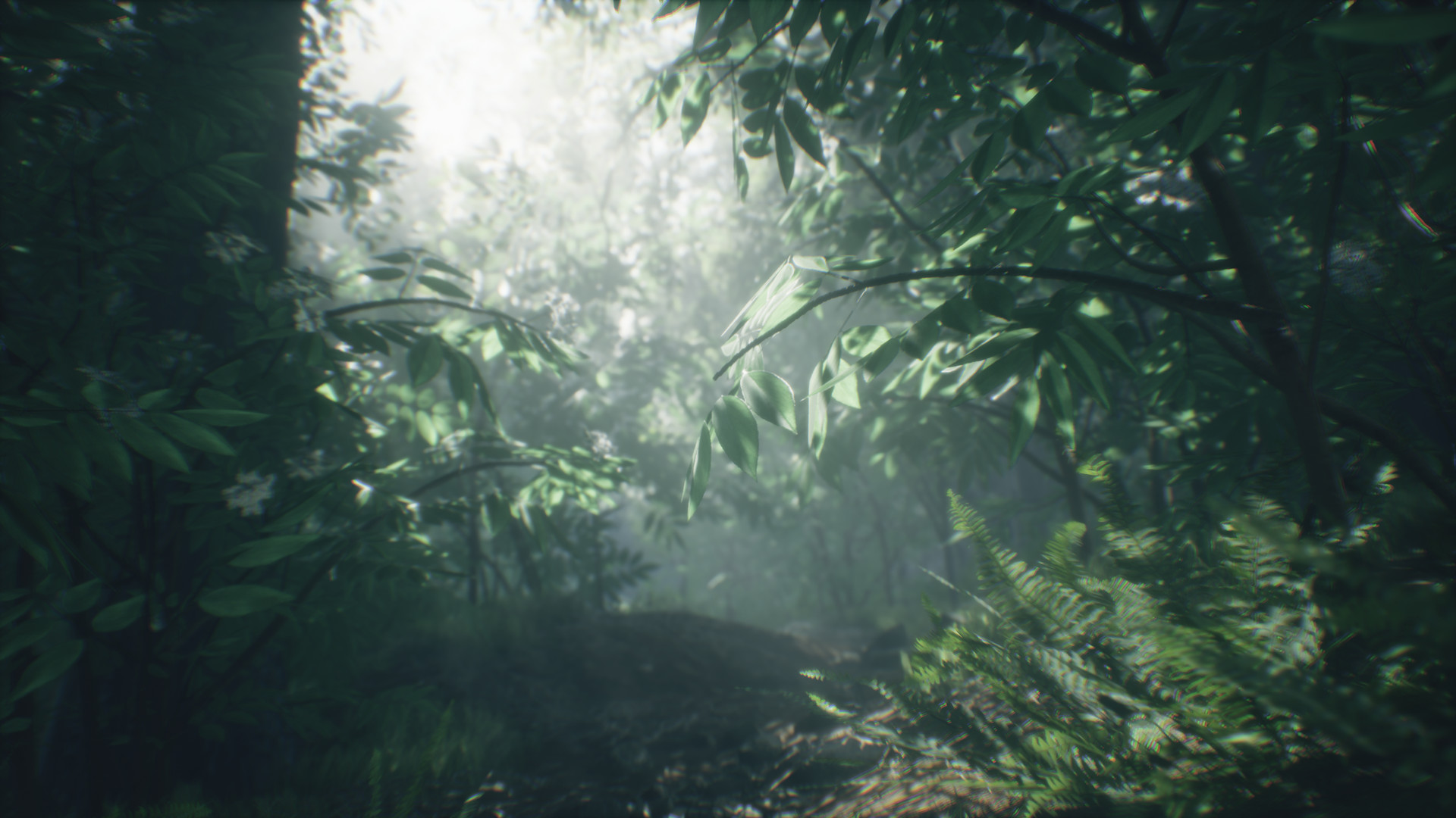 Wakamarina Valley, New Zealand screenshot 7
