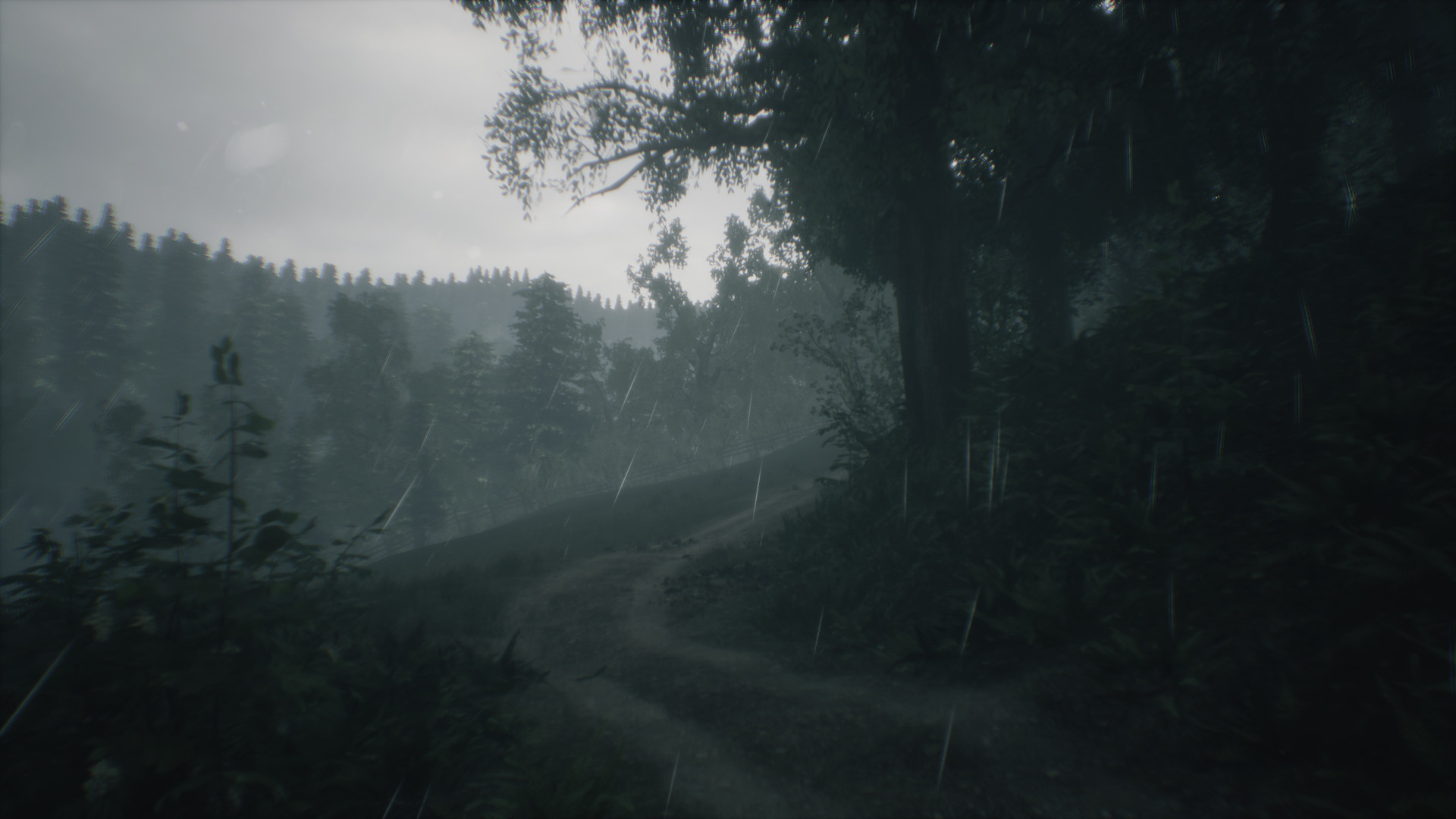 Wakamarina Valley, New Zealand screenshot 6
