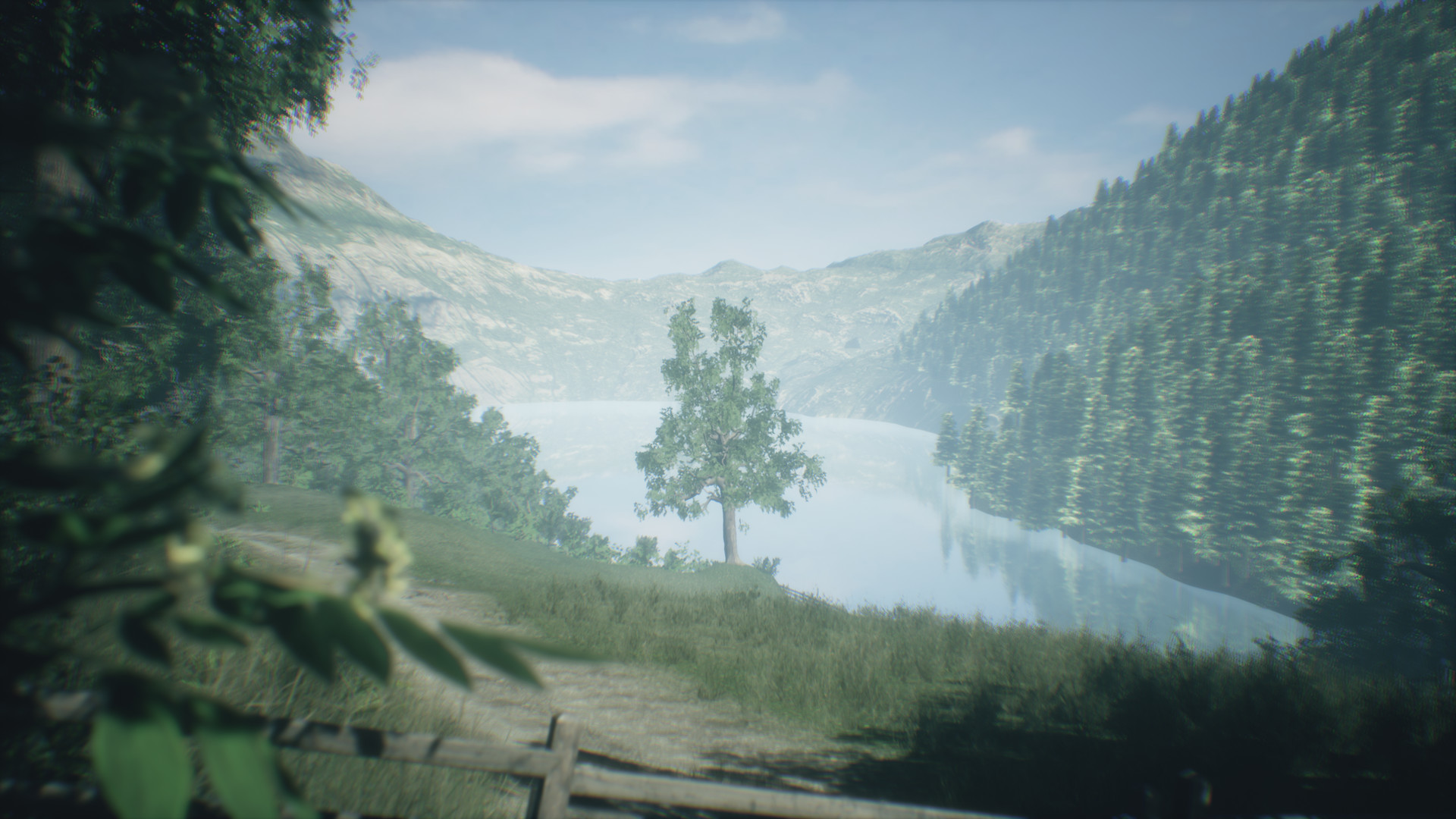 Wakamarina Valley, New Zealand screenshot 2