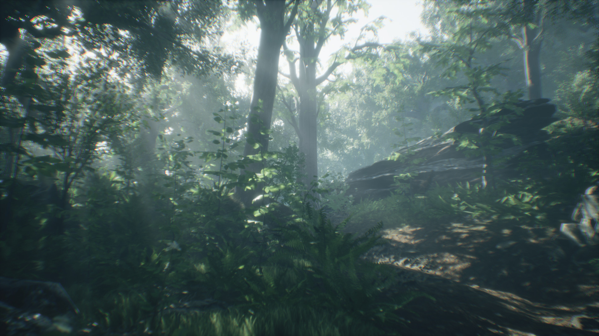 Wakamarina Valley, New Zealand screenshot 4