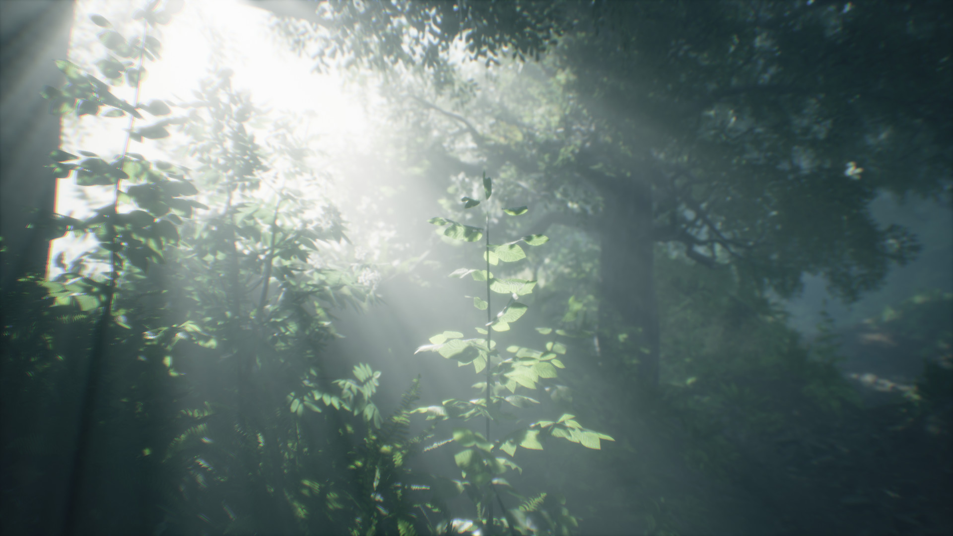 Wakamarina Valley, New Zealand screenshot 1