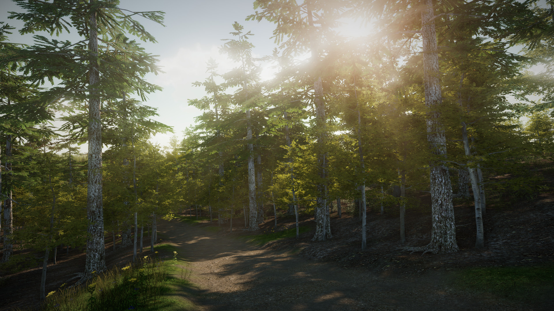 EreaDrone : FPV Drone Simulator screenshot 24