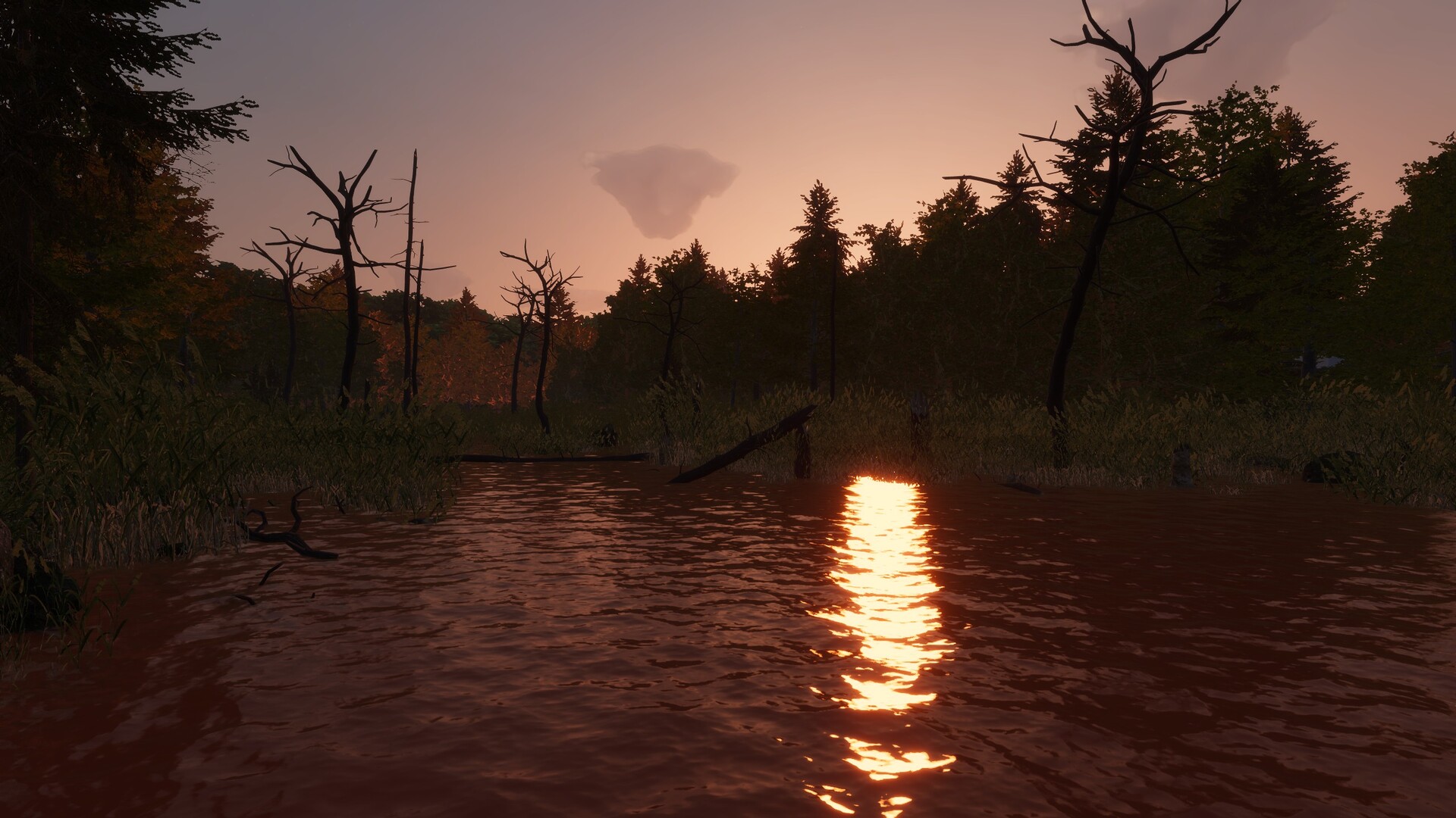 MLF: Pro Catch screenshot 9
