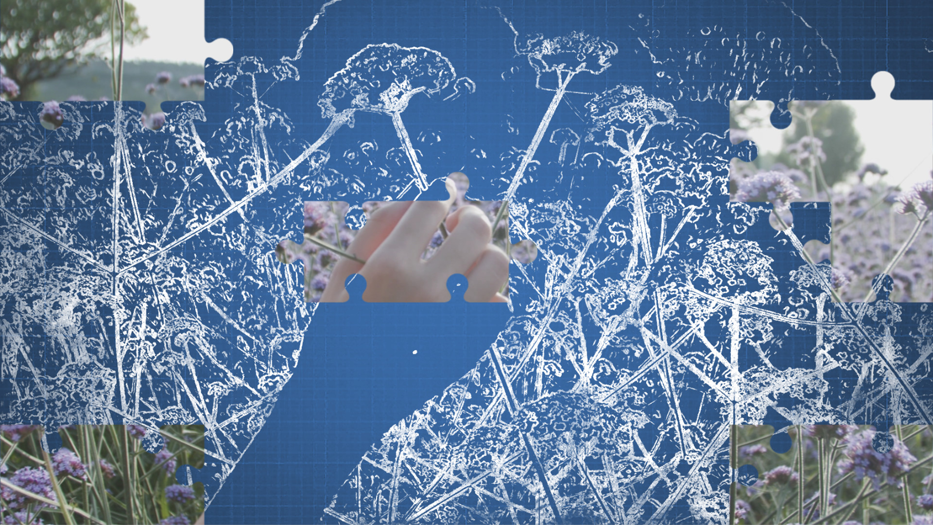 动绘(Drawing) screenshot 1
