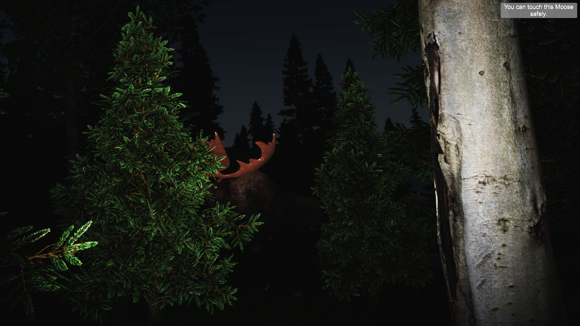 Zoo World VR screenshot 5