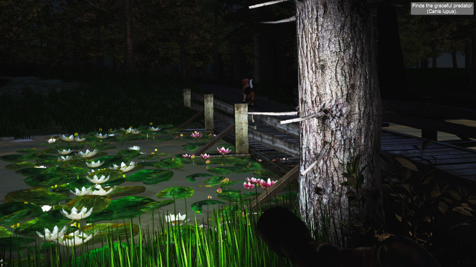 Zoo World VR screenshot 3