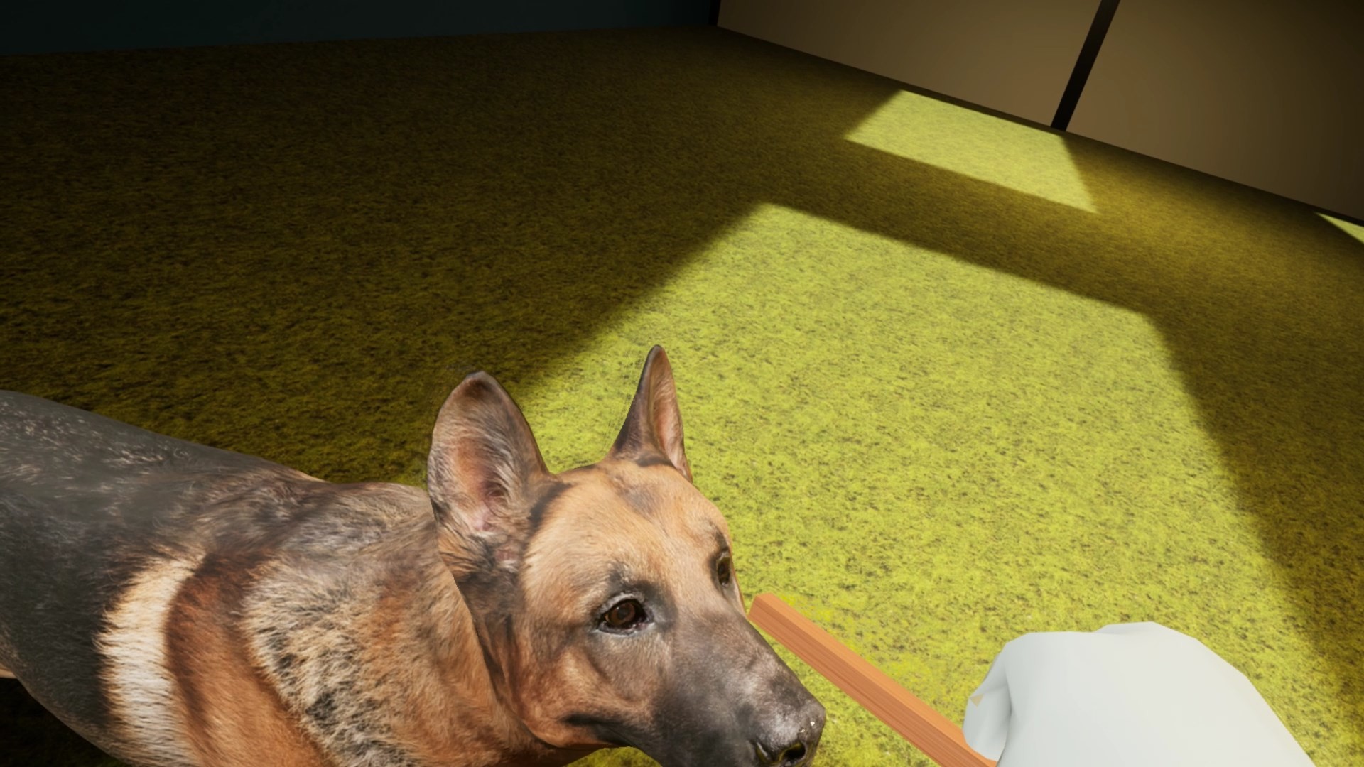 My UnReal Pet screenshot 12