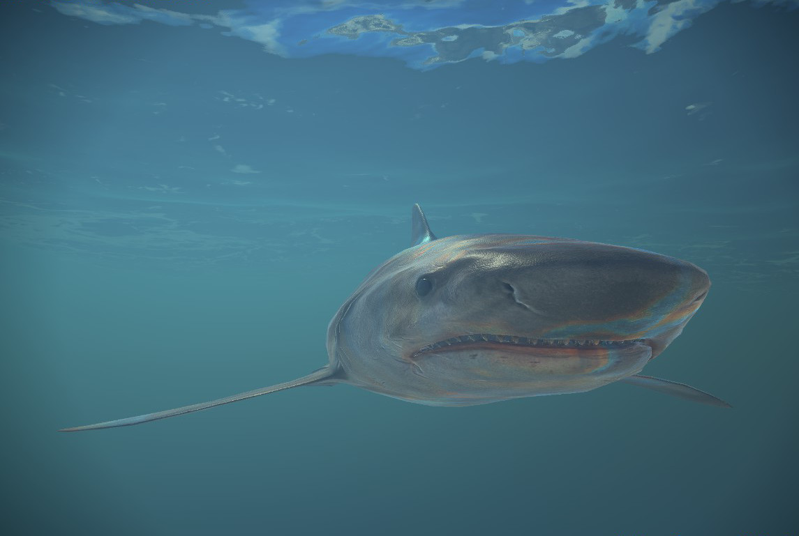 Memory Illusions screenshot 18