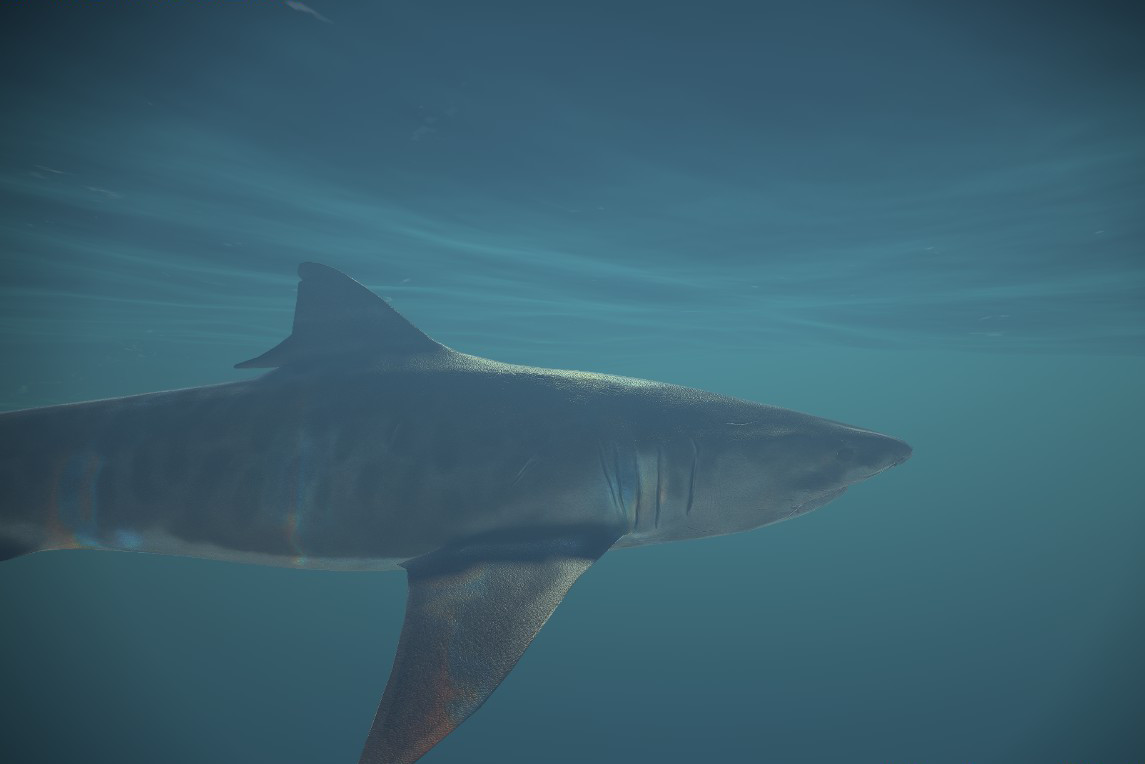 Memory Illusions screenshot 8