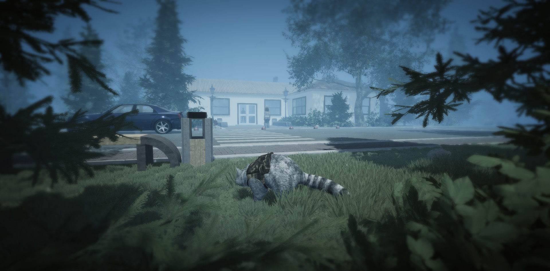 Wanted Raccoon screenshot 18