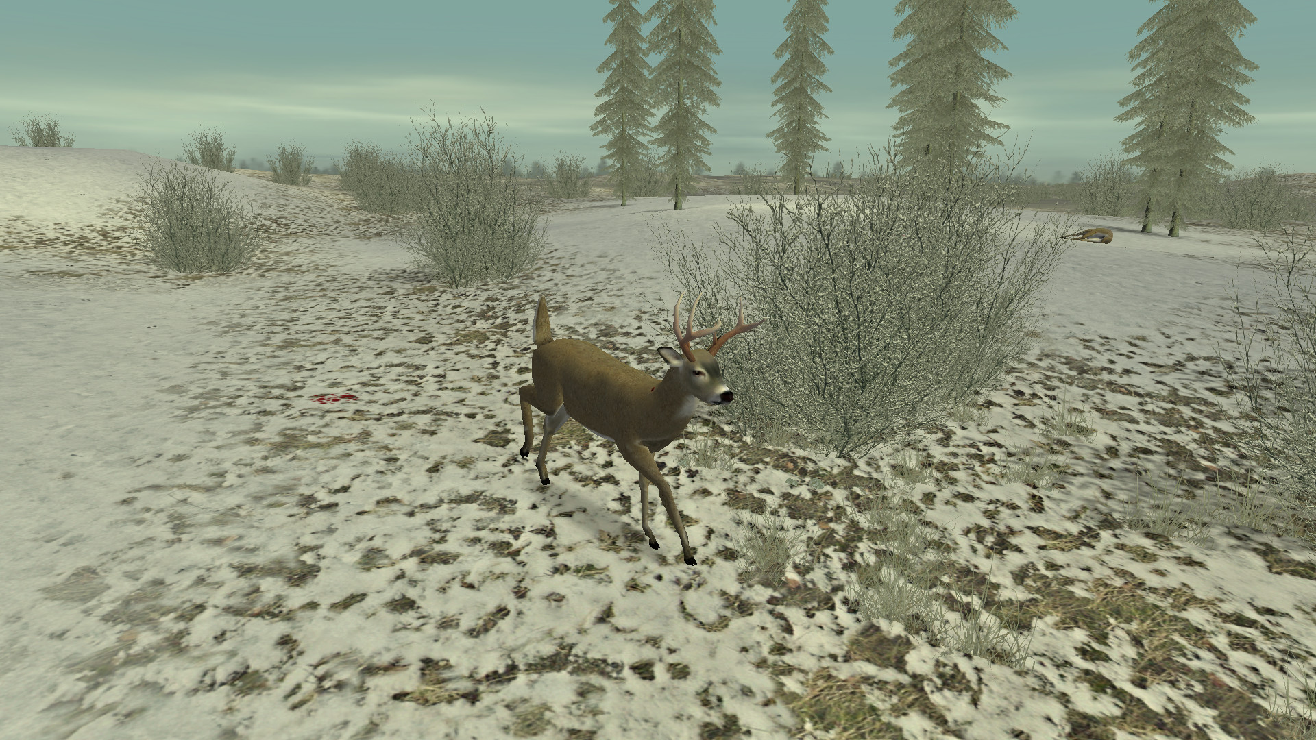 Hunting Unlimited 2 screenshot 4