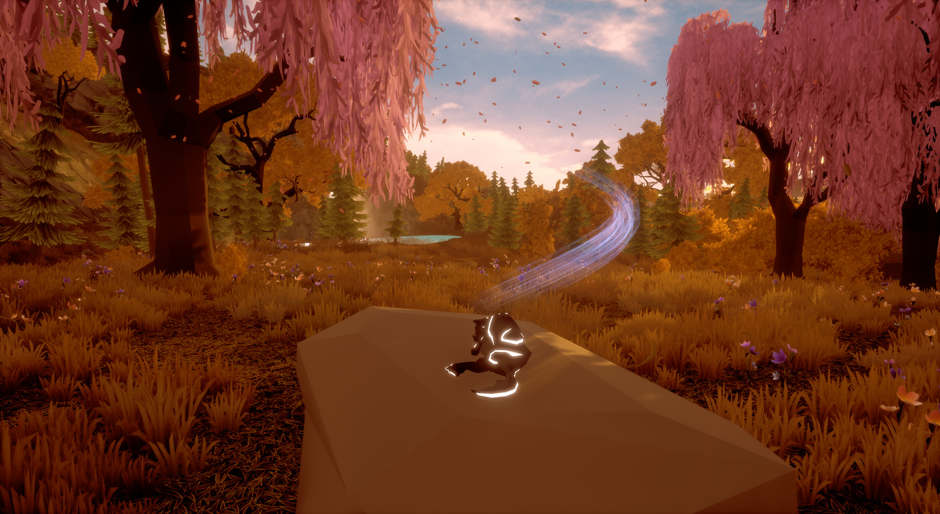 Paws and Soul: First Step screenshot 2