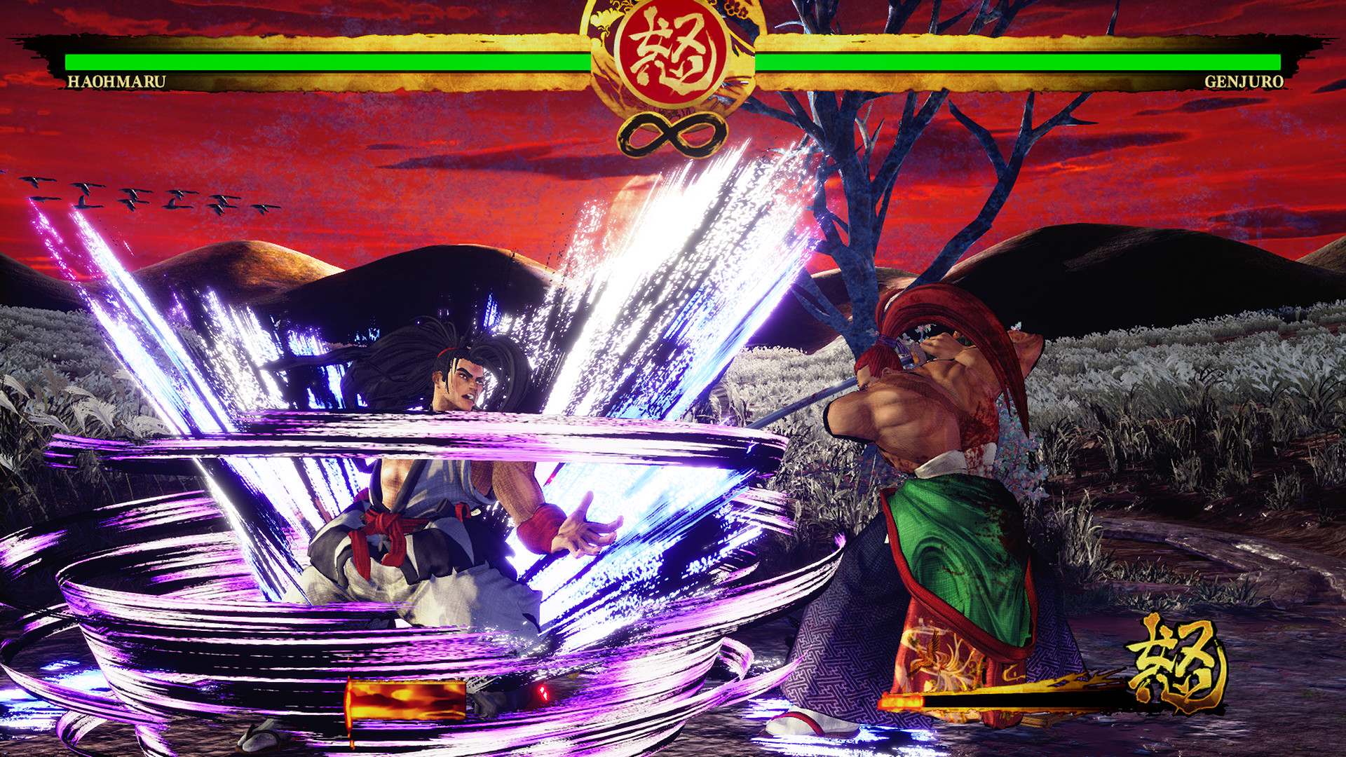 SAMURAI SHODOWN screenshot 3
