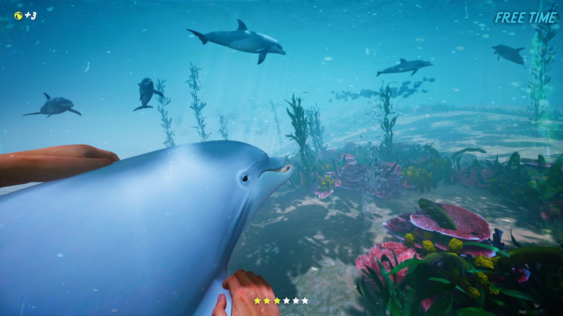 Dolphin Trainer VR screenshot 1