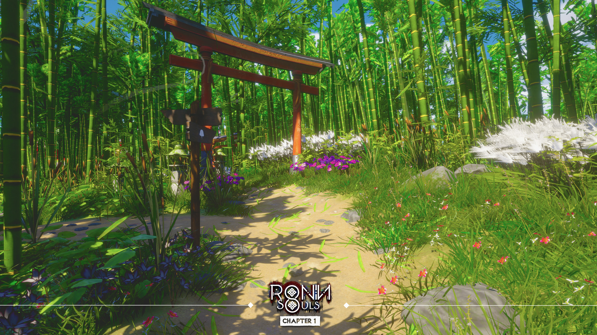 RONIN: Two Souls CHAPTER 1 screenshot 8