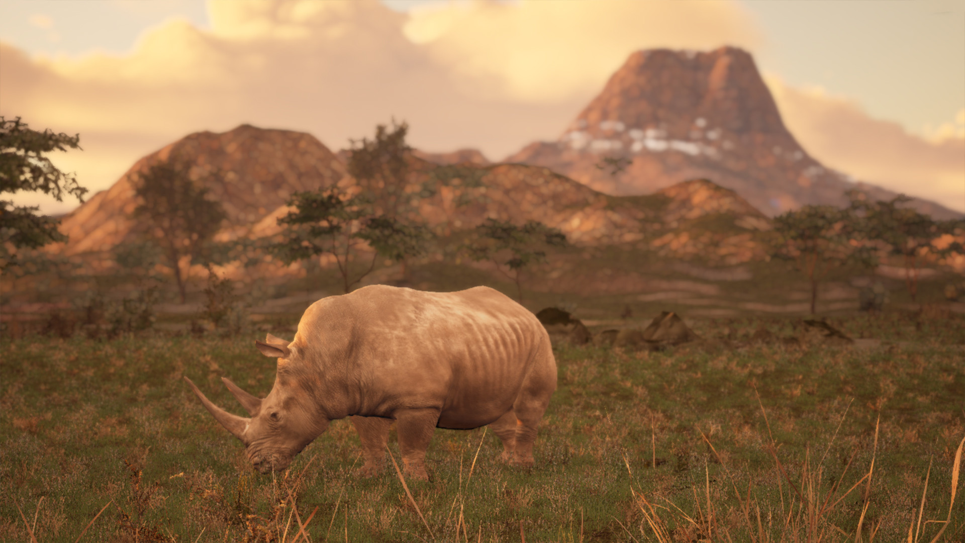Animalia Survival screenshot 1