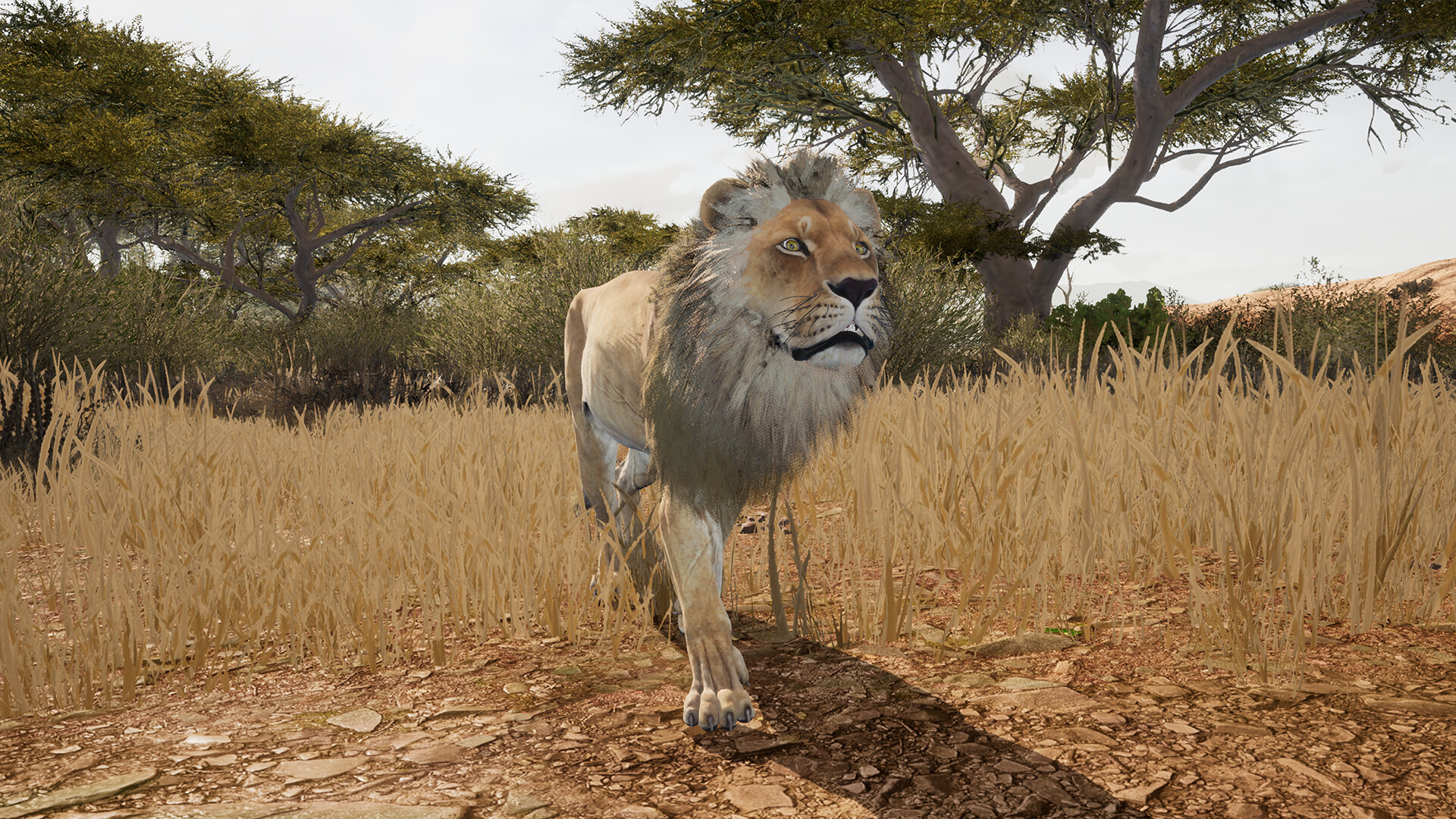 Animalia Survival screenshot 14
