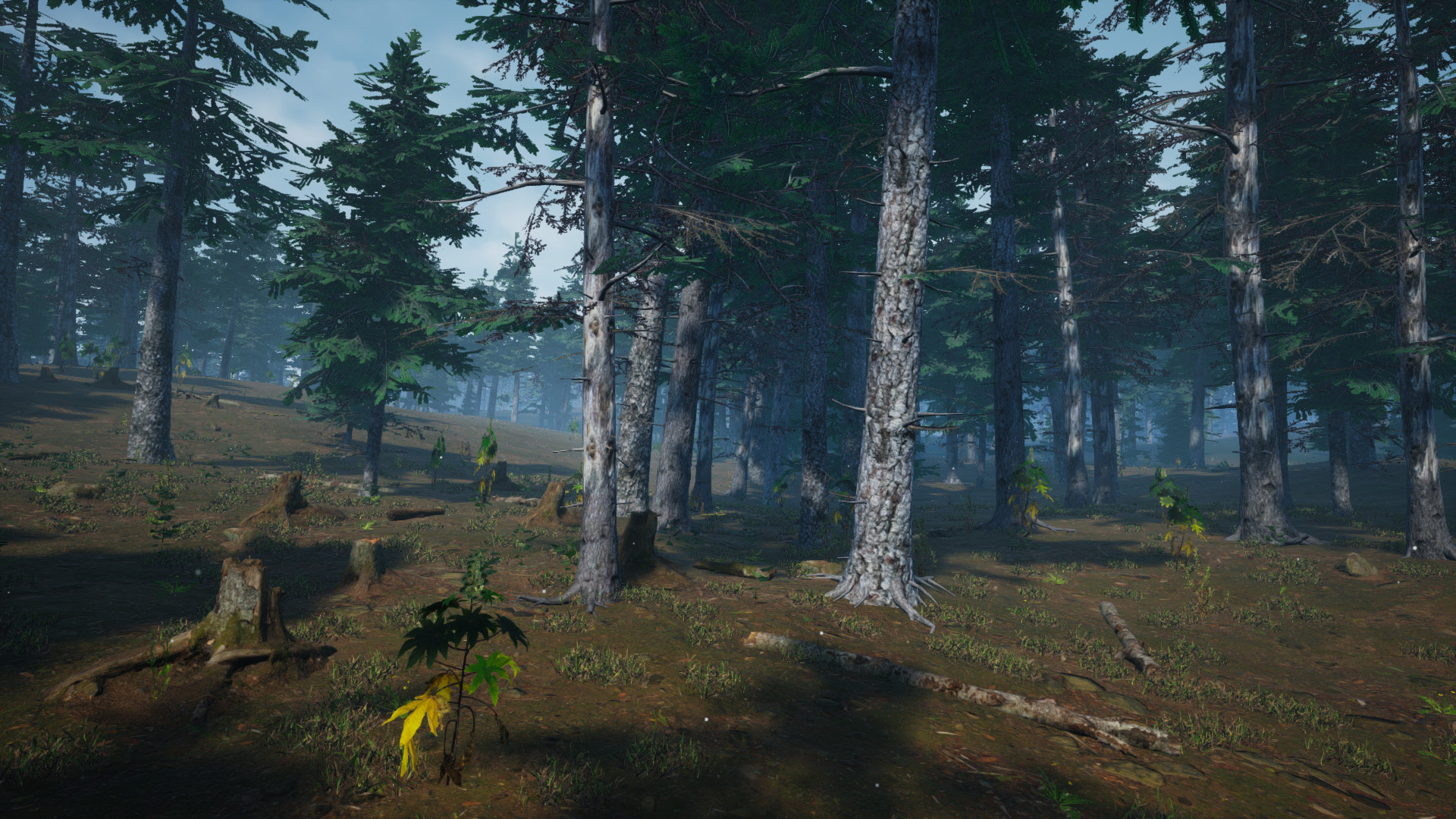 Mushroom Picker Simulator screenshot 15