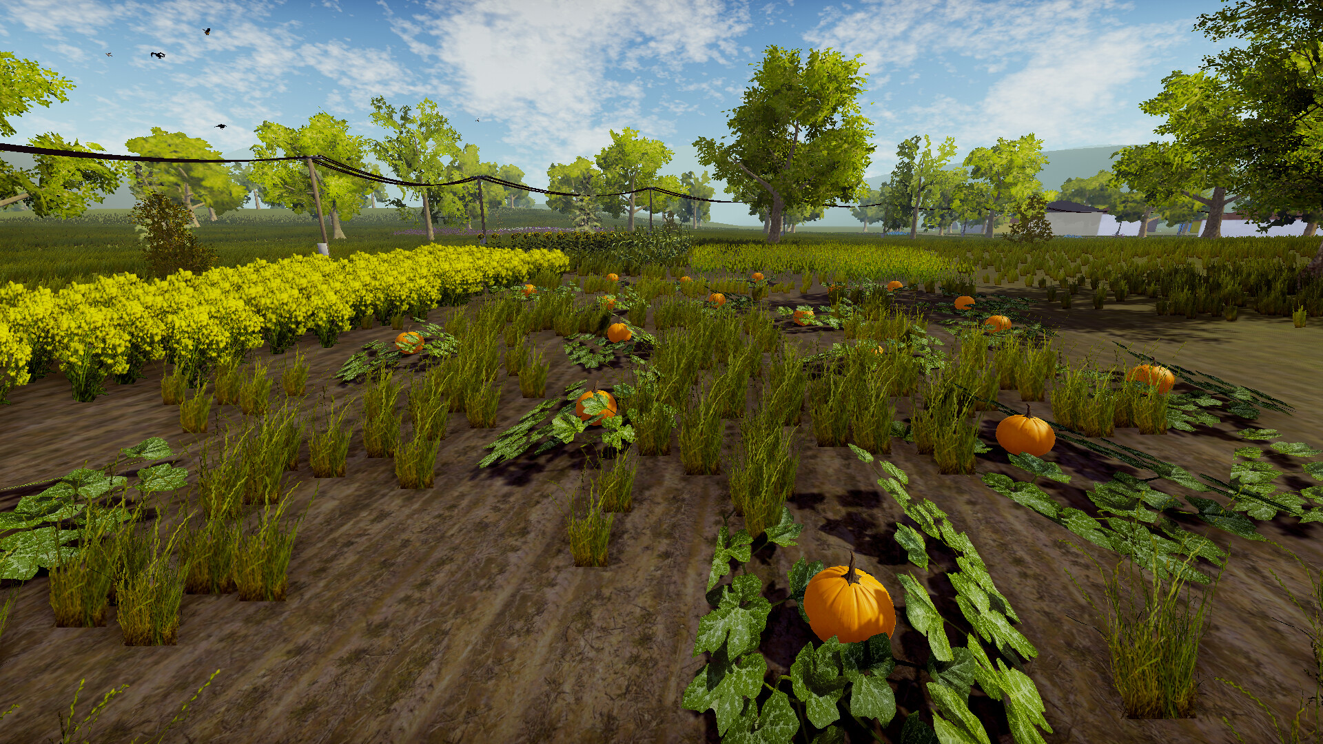 My Village Life screenshot 4