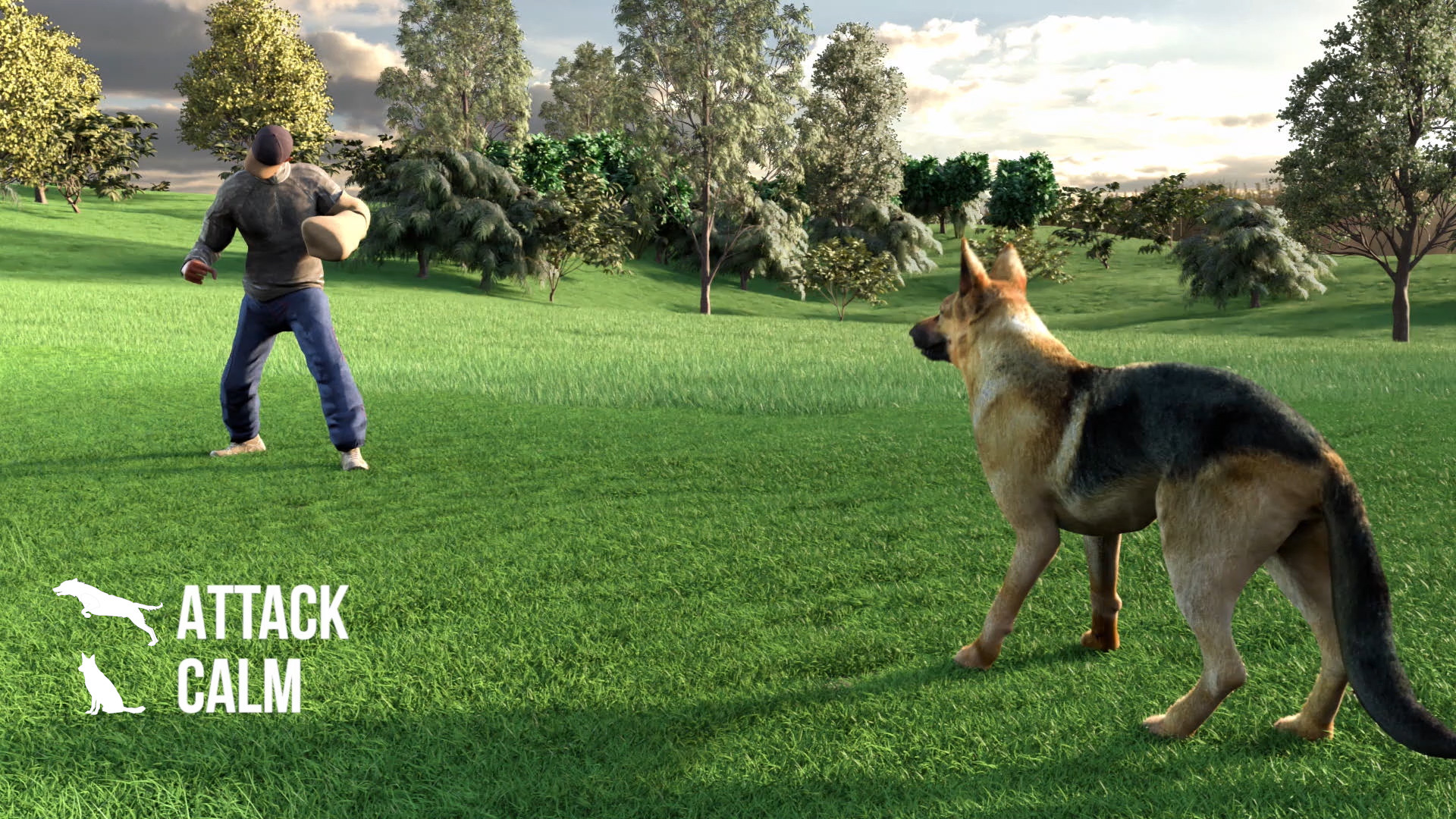 Animal Trainer screenshot 4
