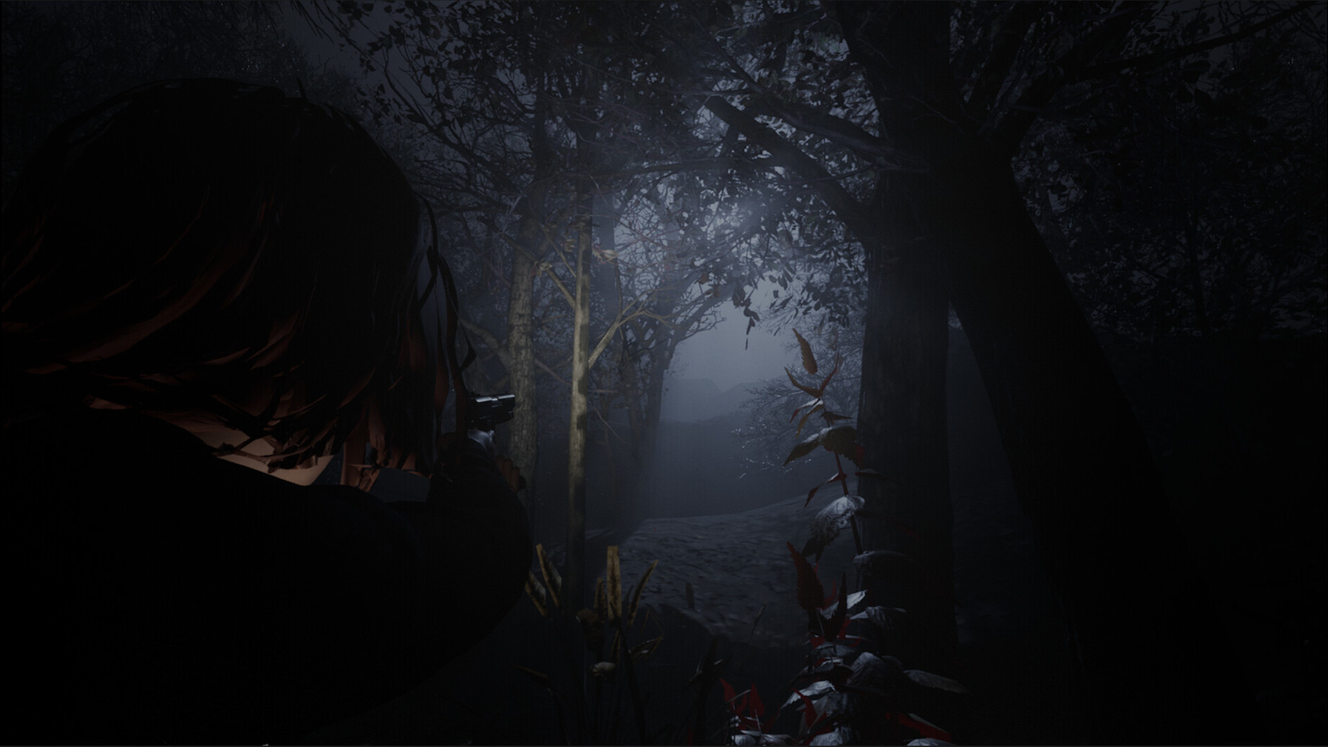 Cult of Dawn screenshot 2