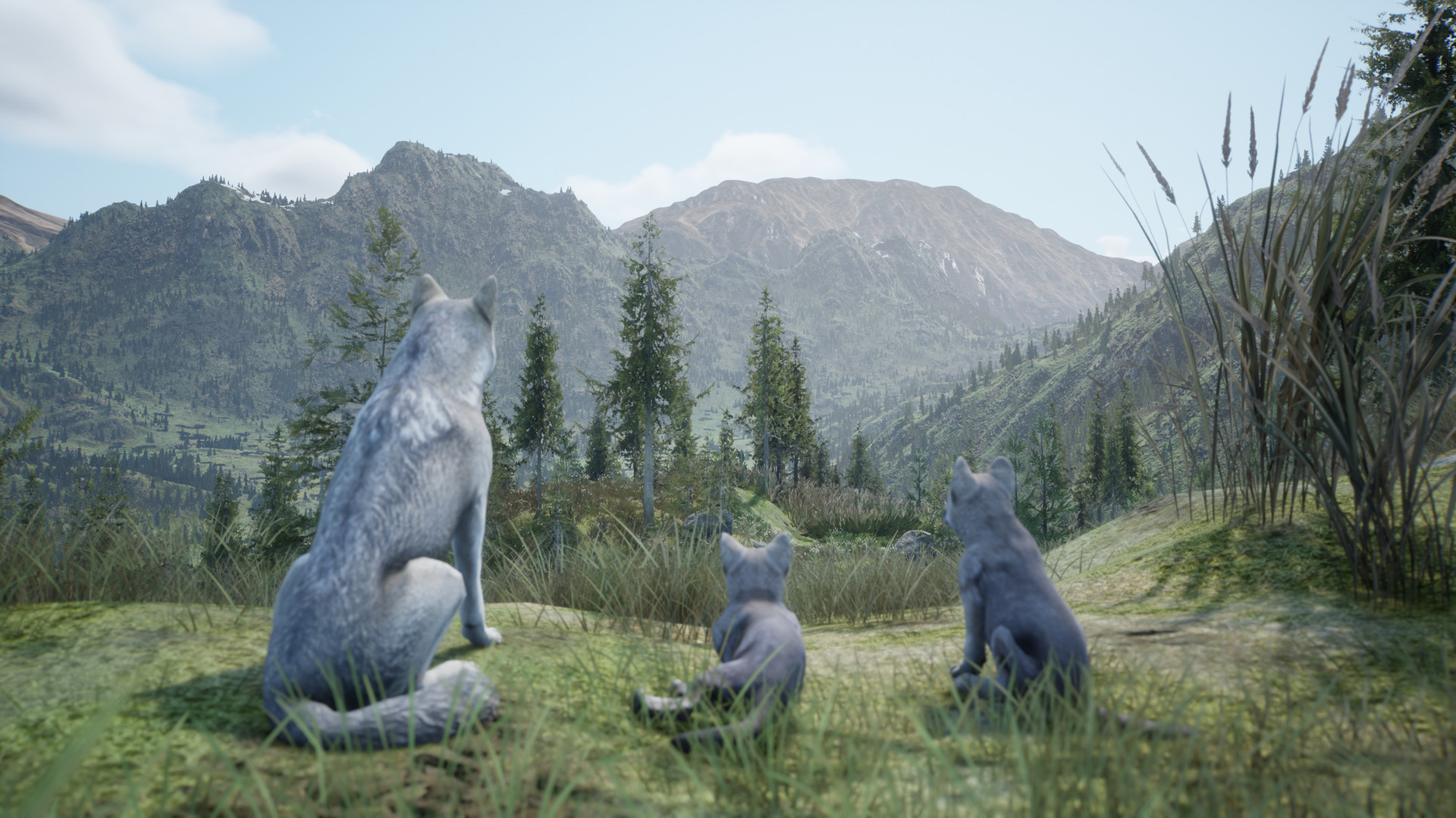 Wilderness screenshot 6
