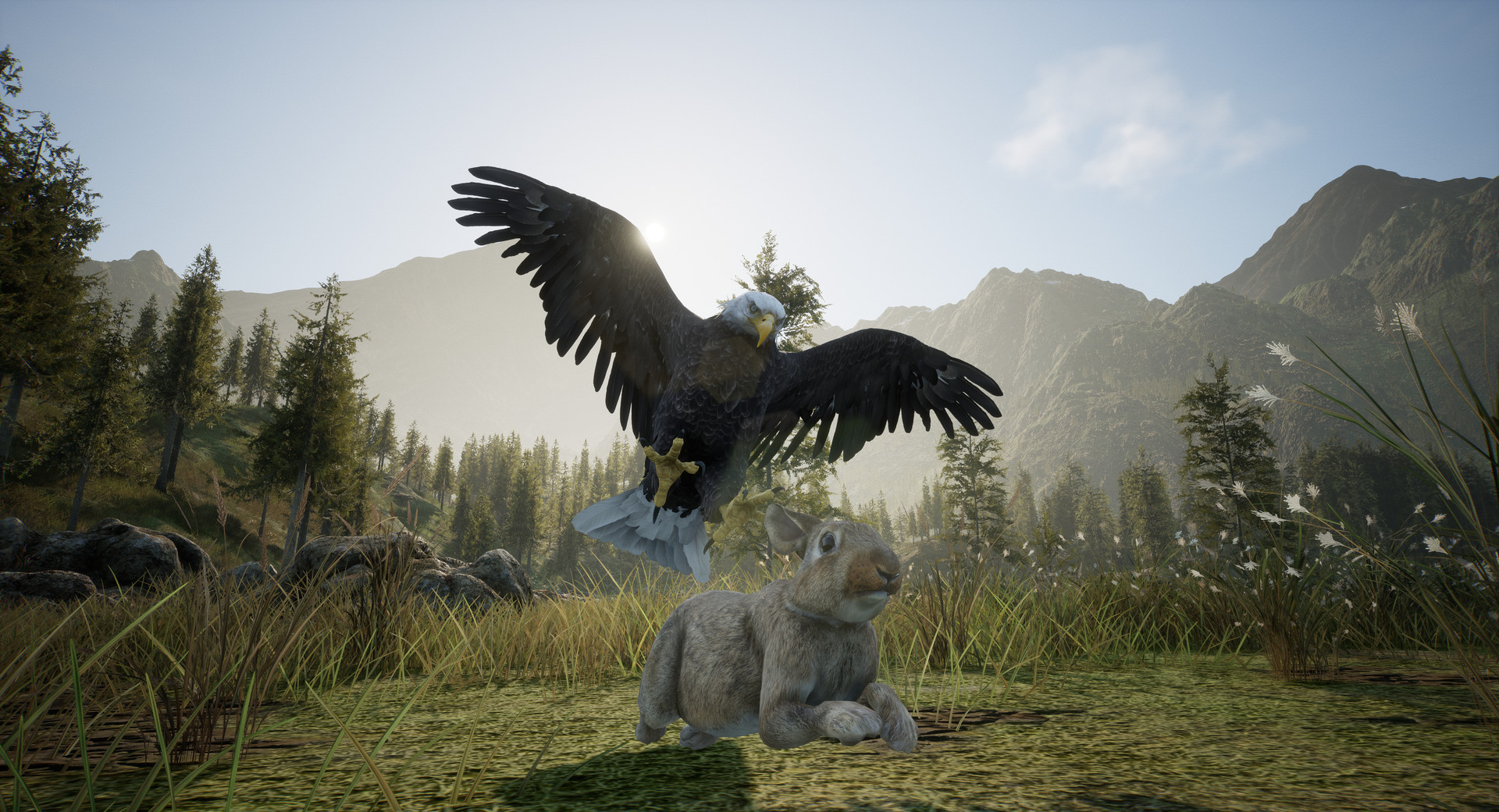 Wilderness screenshot 2