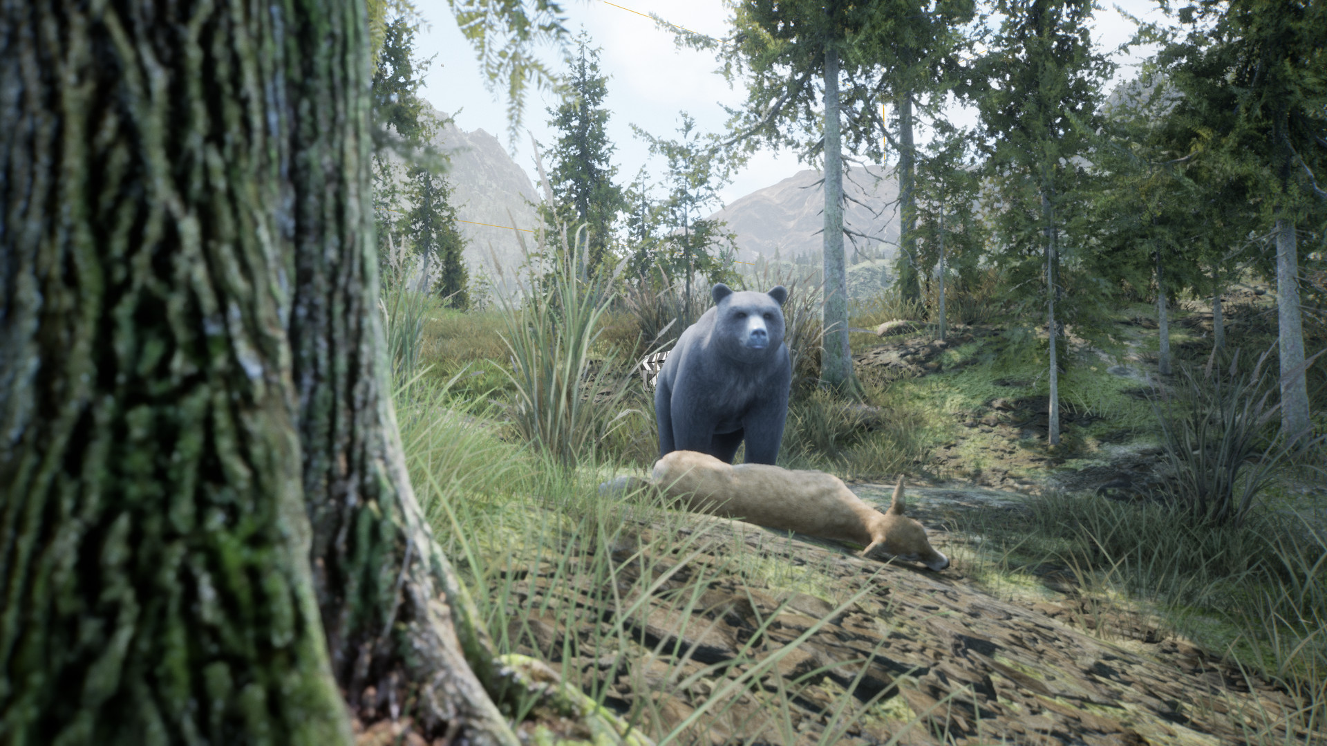 Wilderness screenshot 5