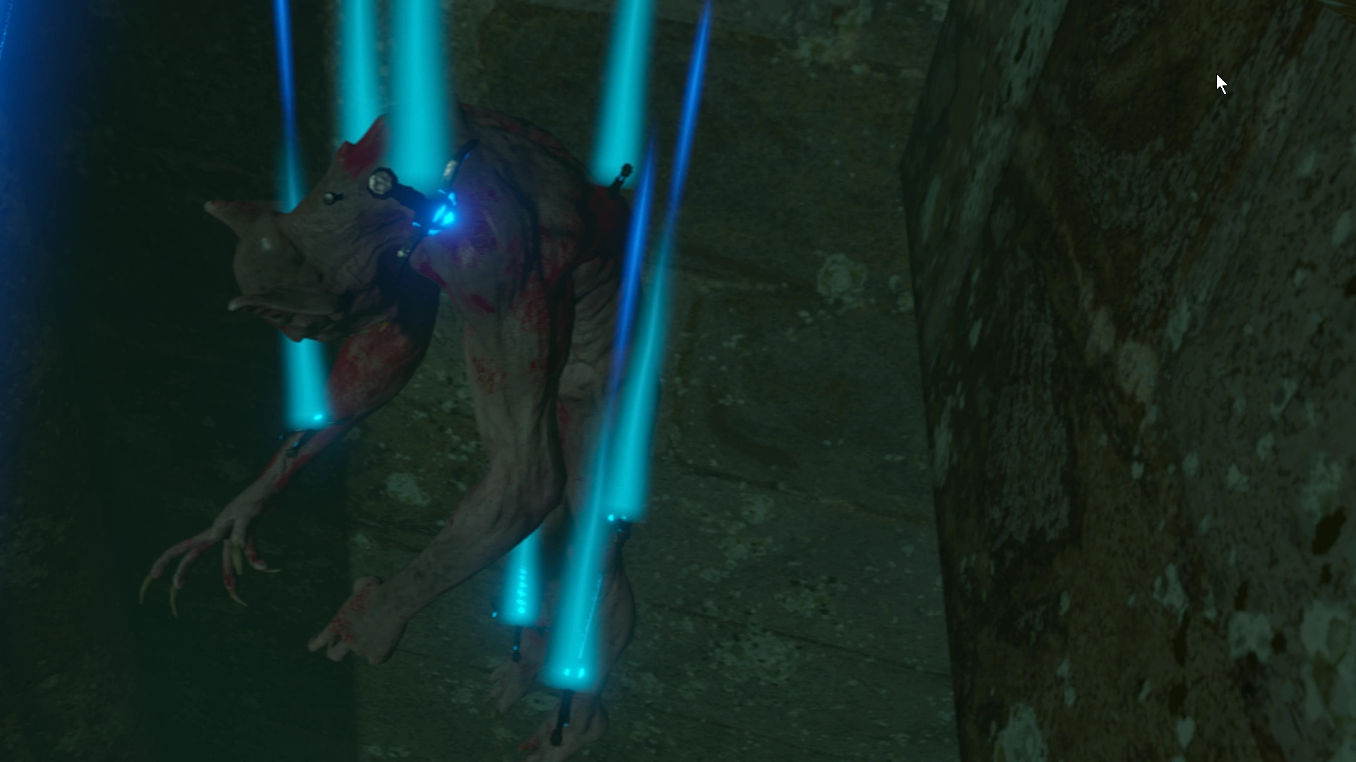 Monster Collector screenshot 14