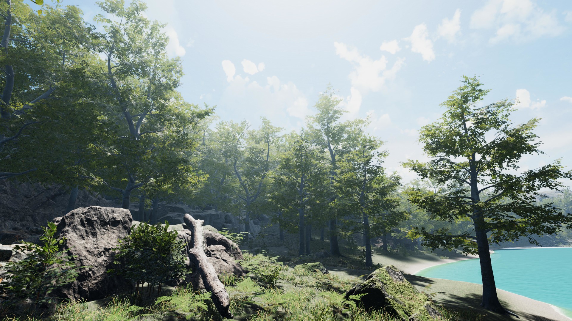 Secrets of a Campfire screenshot 2