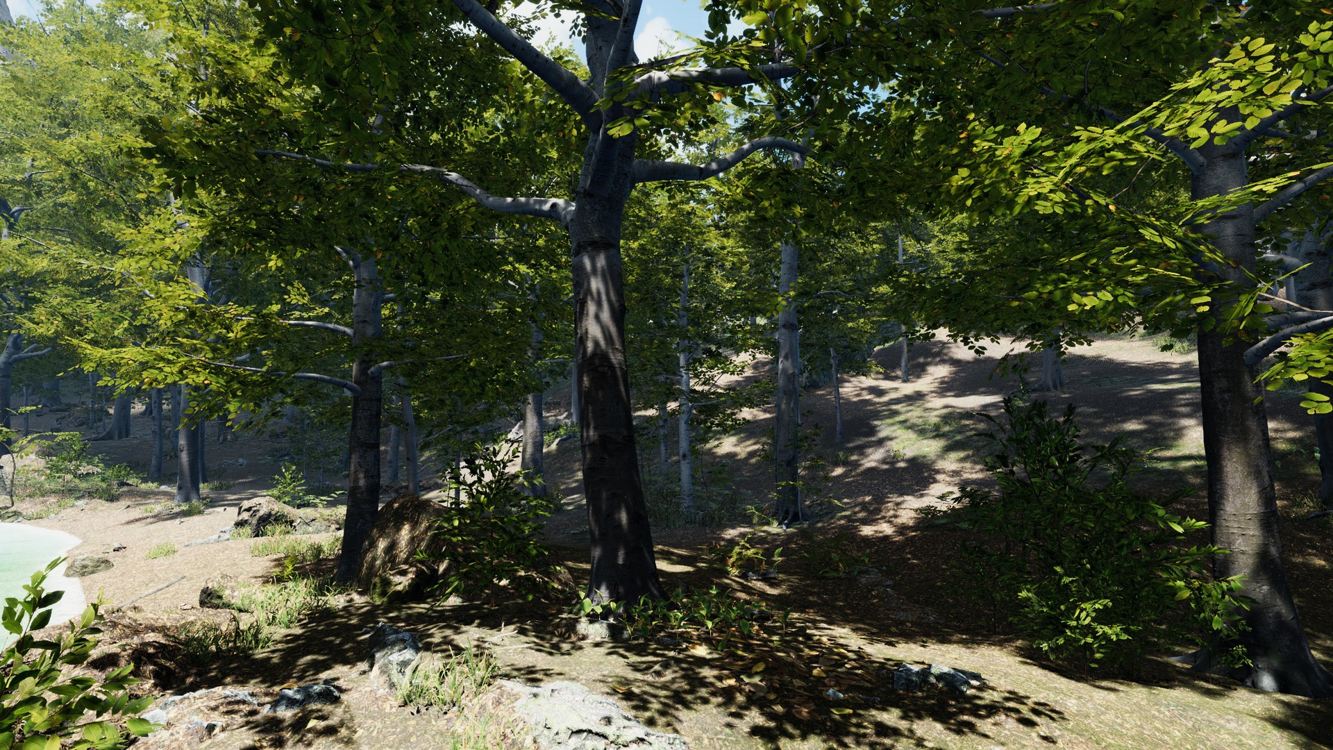 Secrets of a Campfire screenshot 7