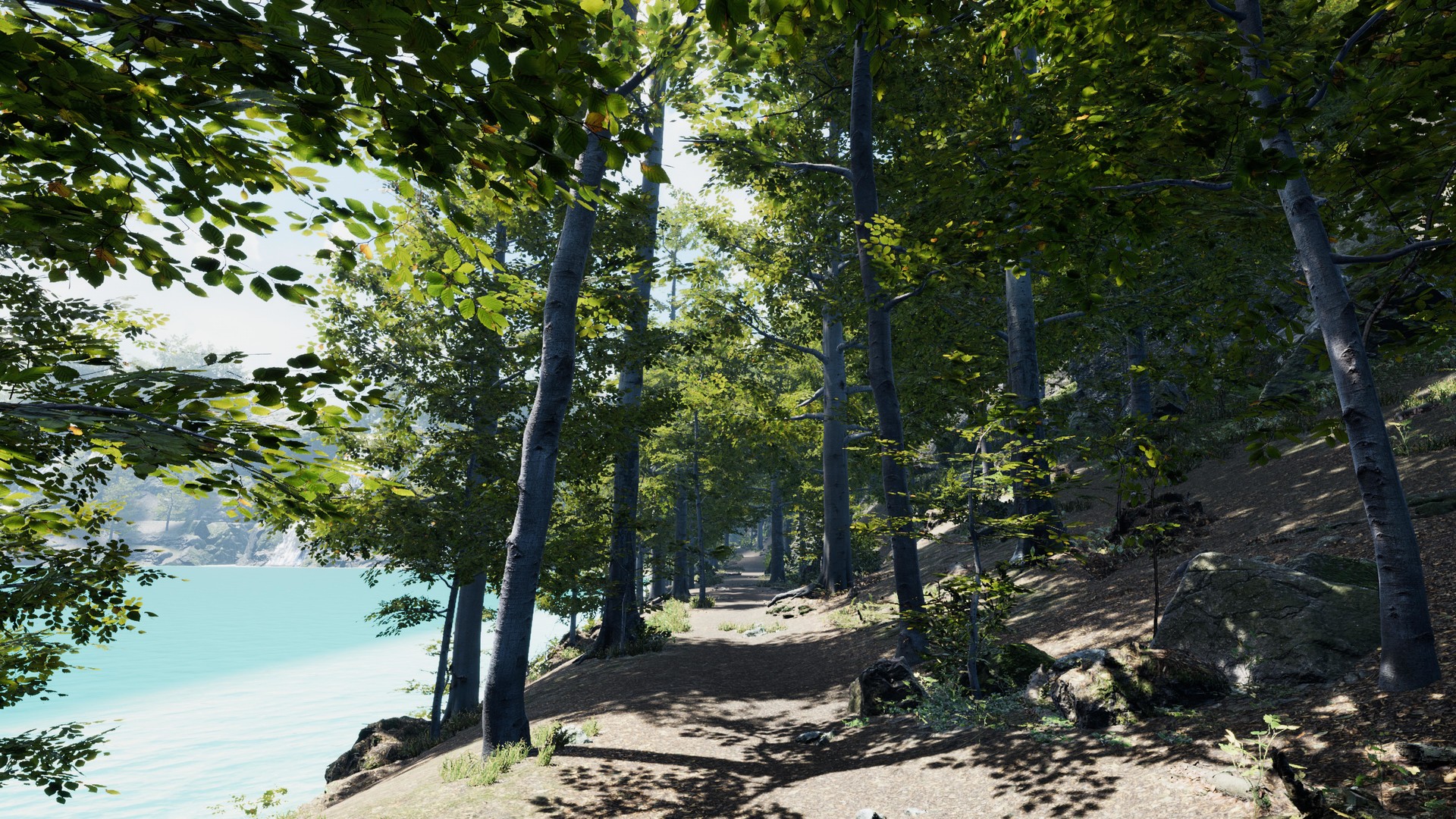 Secrets of a Campfire screenshot 6